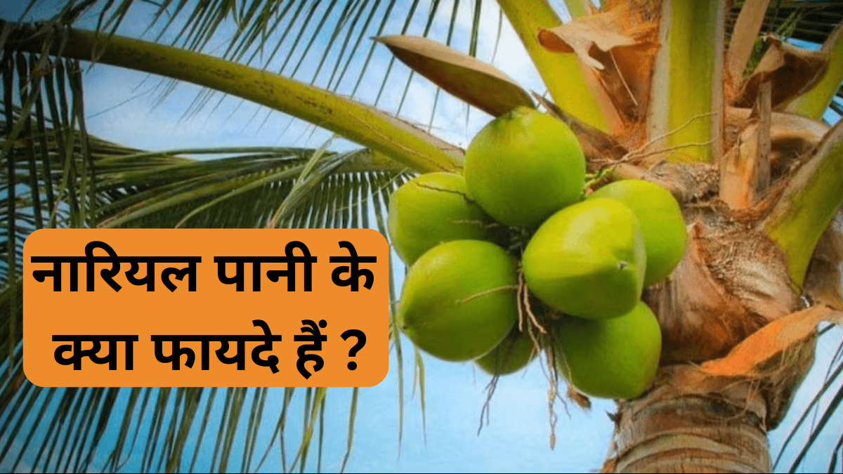 नारियल पानी के क्या फायदे हैं ?