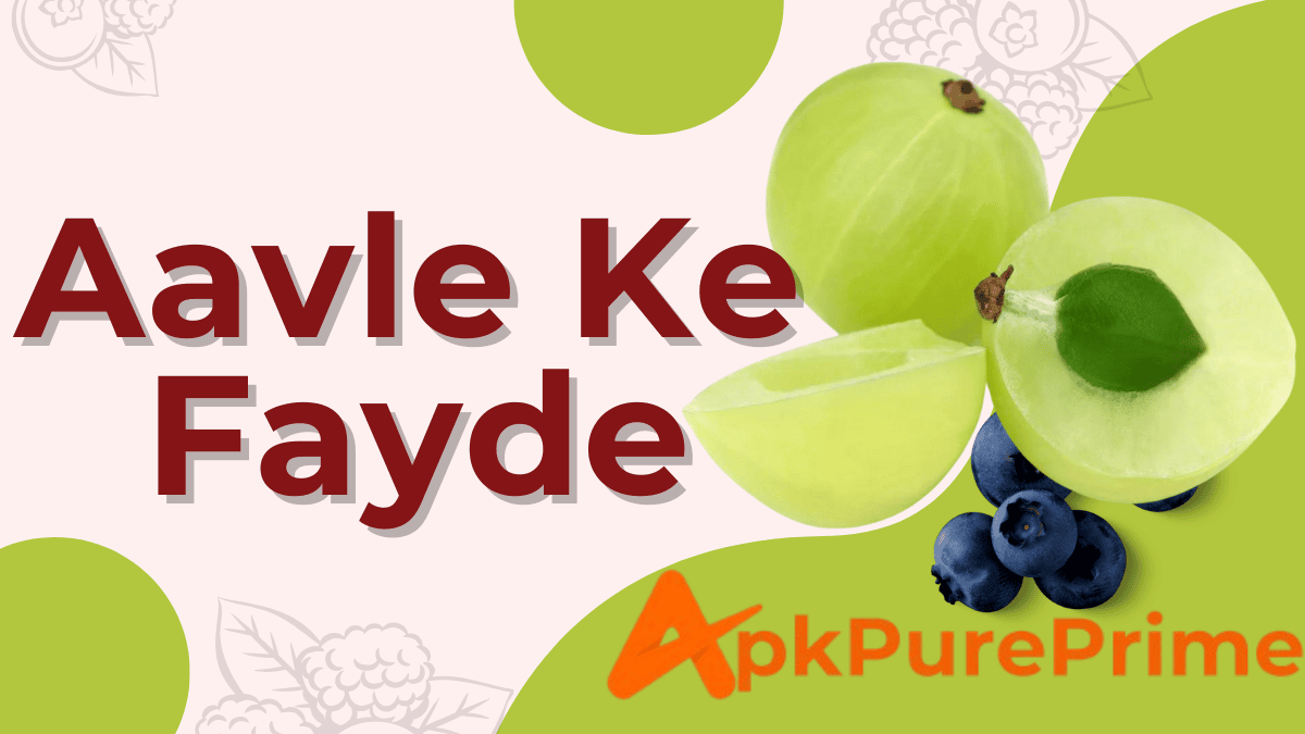 Aavle Ke Fayde